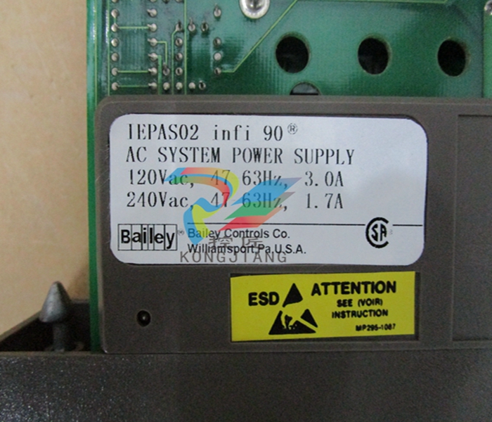 14 BAILEY-IEPAS02.jpg
