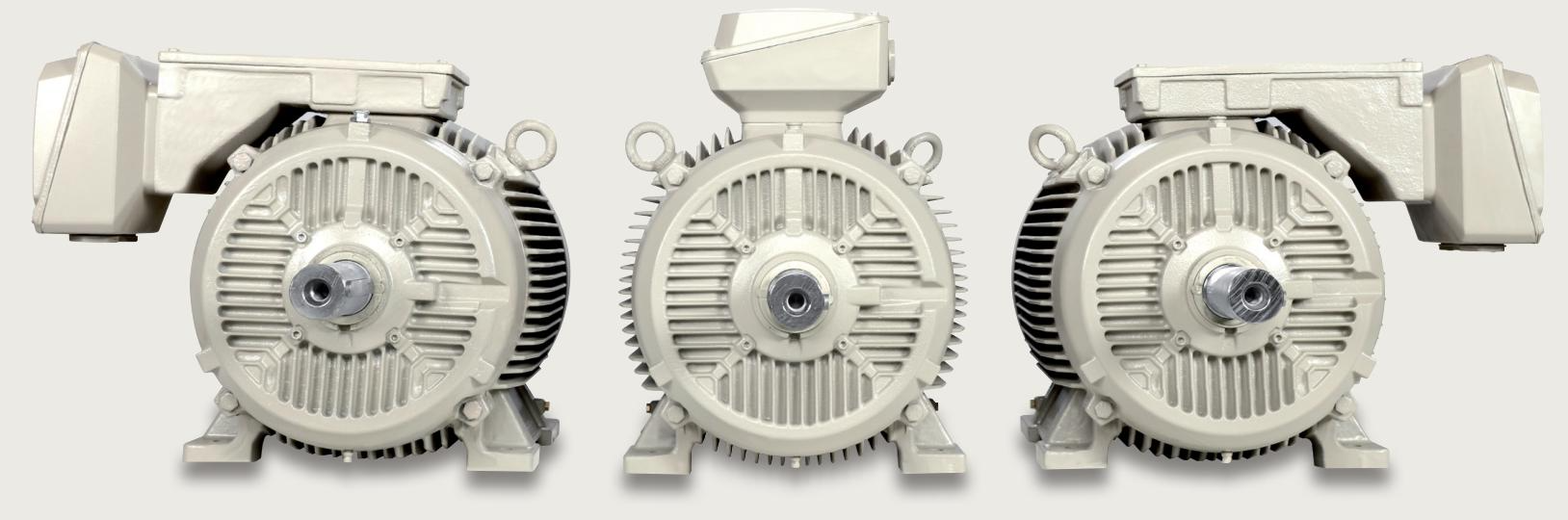 SIEMENS SIMOTICS SD 1LE7 系列低压电机（轴高 71-315）