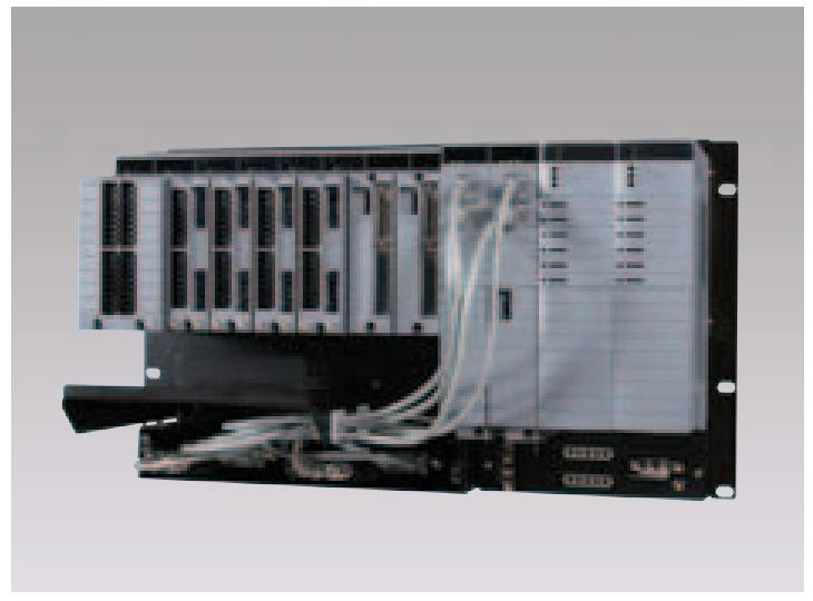 YOKOGAWA  centumcs3000r3中的FFCS紧凑型控制站