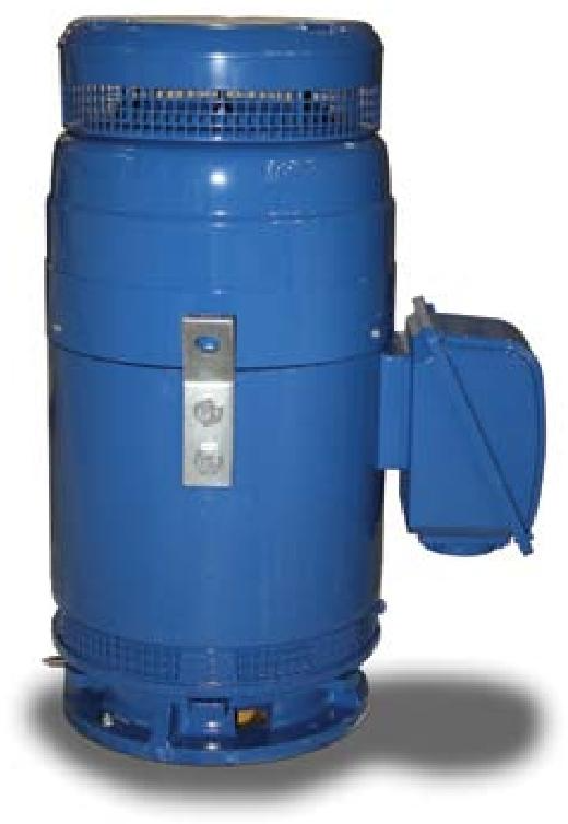 WESTINGHOUSE MAX-VH™/MAX-VHP™系列立式空心轴感应电动机